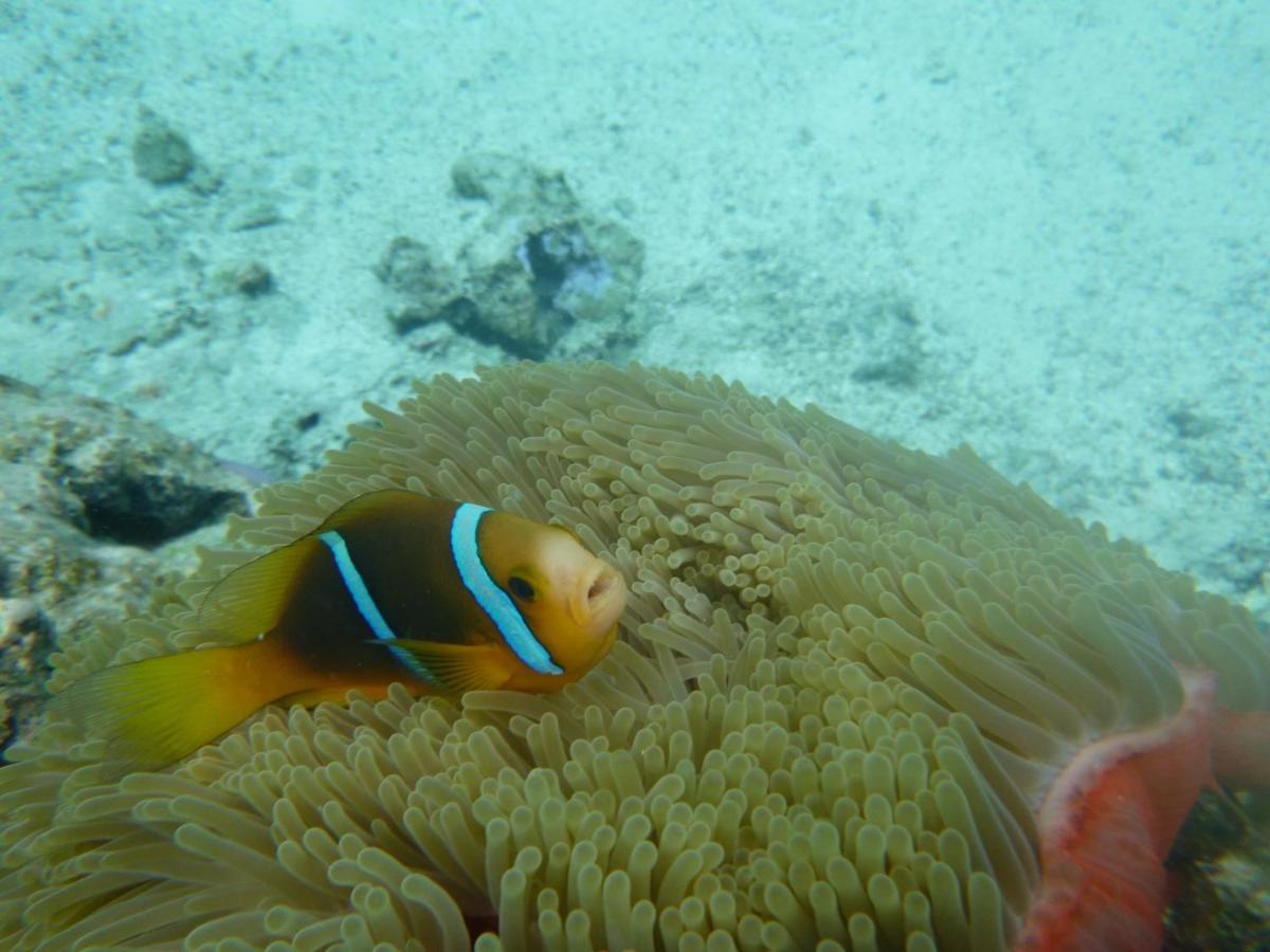 Отель La Perle Tahaa Tapu' amu Экстерьер фото