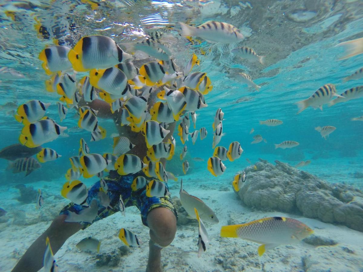 Отель La Perle Tahaa Tapu' amu Экстерьер фото