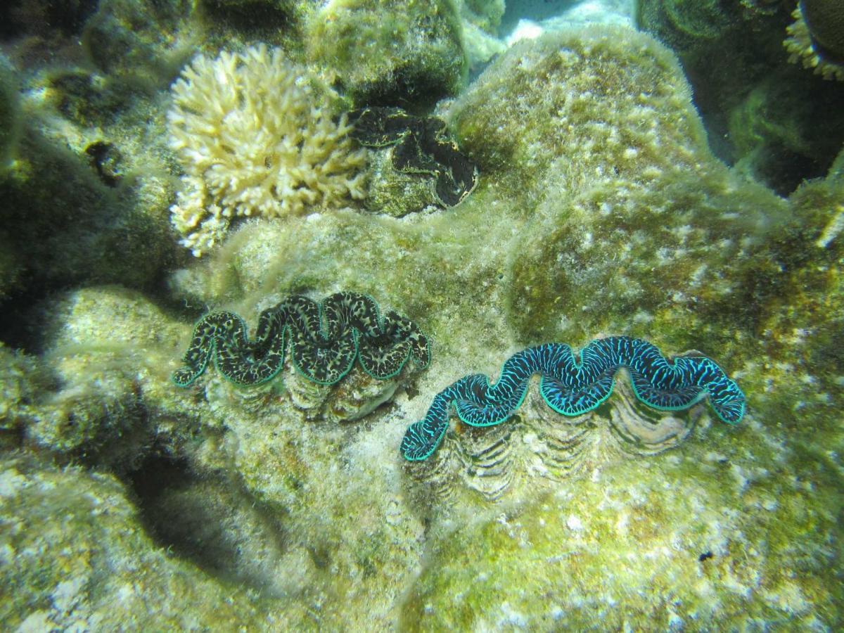 Отель La Perle Tahaa Tapu' amu Экстерьер фото